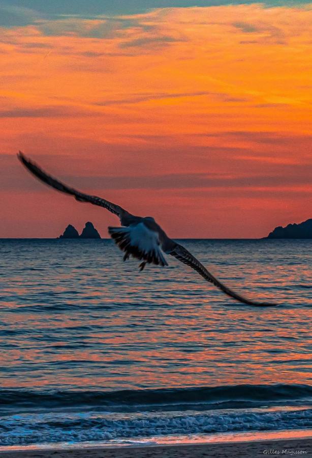 Pied Dans L'eau * La Seyne-sur-Mer